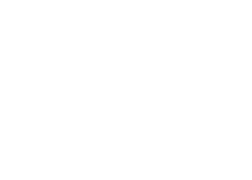 optic 2000