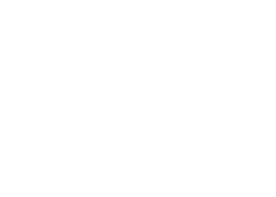 vision immedia