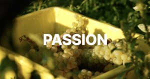office des vins vaudois OVV